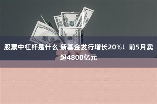 股票中杠杆是什么 新基金发行增长20%！前5月卖超4800亿元