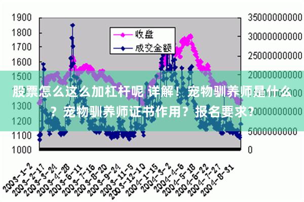 股票怎么这么加杠杆呢 详解！宠物驯养师是什么？宠物驯养师证书作用？报名要求？