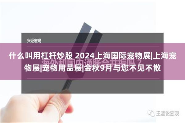 什么叫用杠杆炒股 2024上海国际宠物展|上海宠物展|宠物用品展|金秋9月与您不见不散