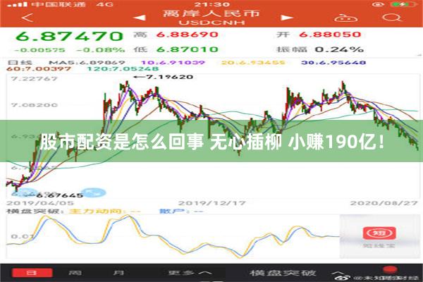 股市配资是怎么回事 无心插柳 小赚190亿！