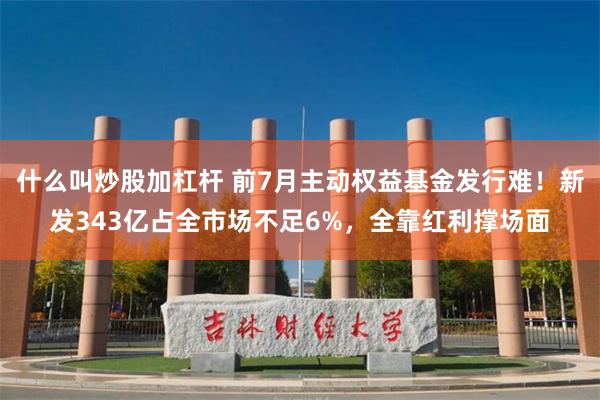 什么叫炒股加杠杆 前7月主动权益基金发行难！新发343亿占全市场不足6%，全靠红利撑场面