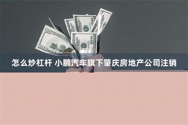 怎么炒杠杆 小鹏汽车旗下肇庆房地产公司注销