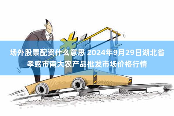 场外股票配资什么意思 2024年9月29日湖北省孝感市南大农产品批发市场价格行情