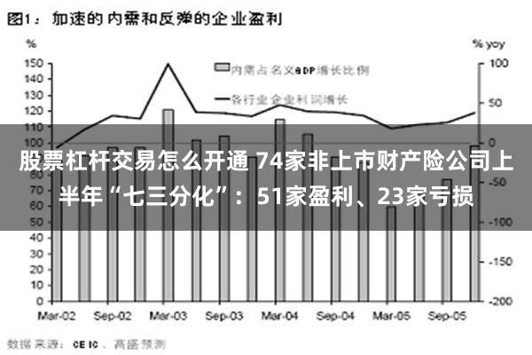 股票杠杆交易怎么开通 74家非上市财产险公司上半年“七三分化”：51家盈利、23家亏损